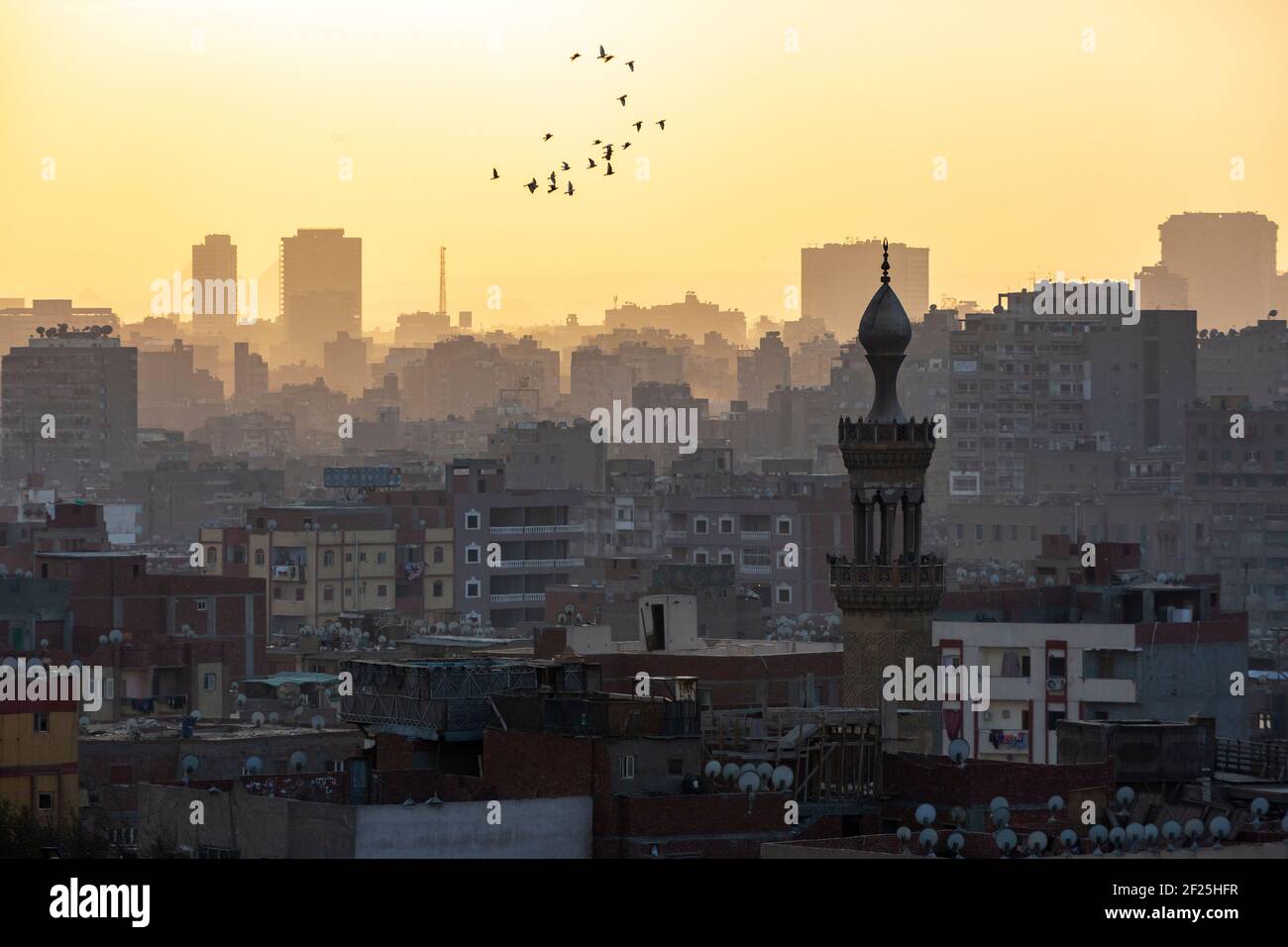 Uccelli che volano sopra un suggestivo paesaggio urbano del Cairo al tramonto, come si vede dal Parco al Azhar, Salah Salem St, El-DARB El-Ahmar, il Cairo, Egitto Foto Stock
