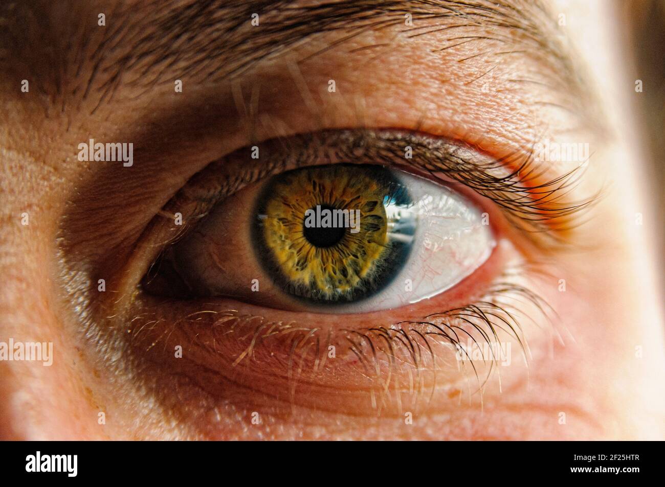 Fissando gli occhi, la porta all'anima Foto Stock