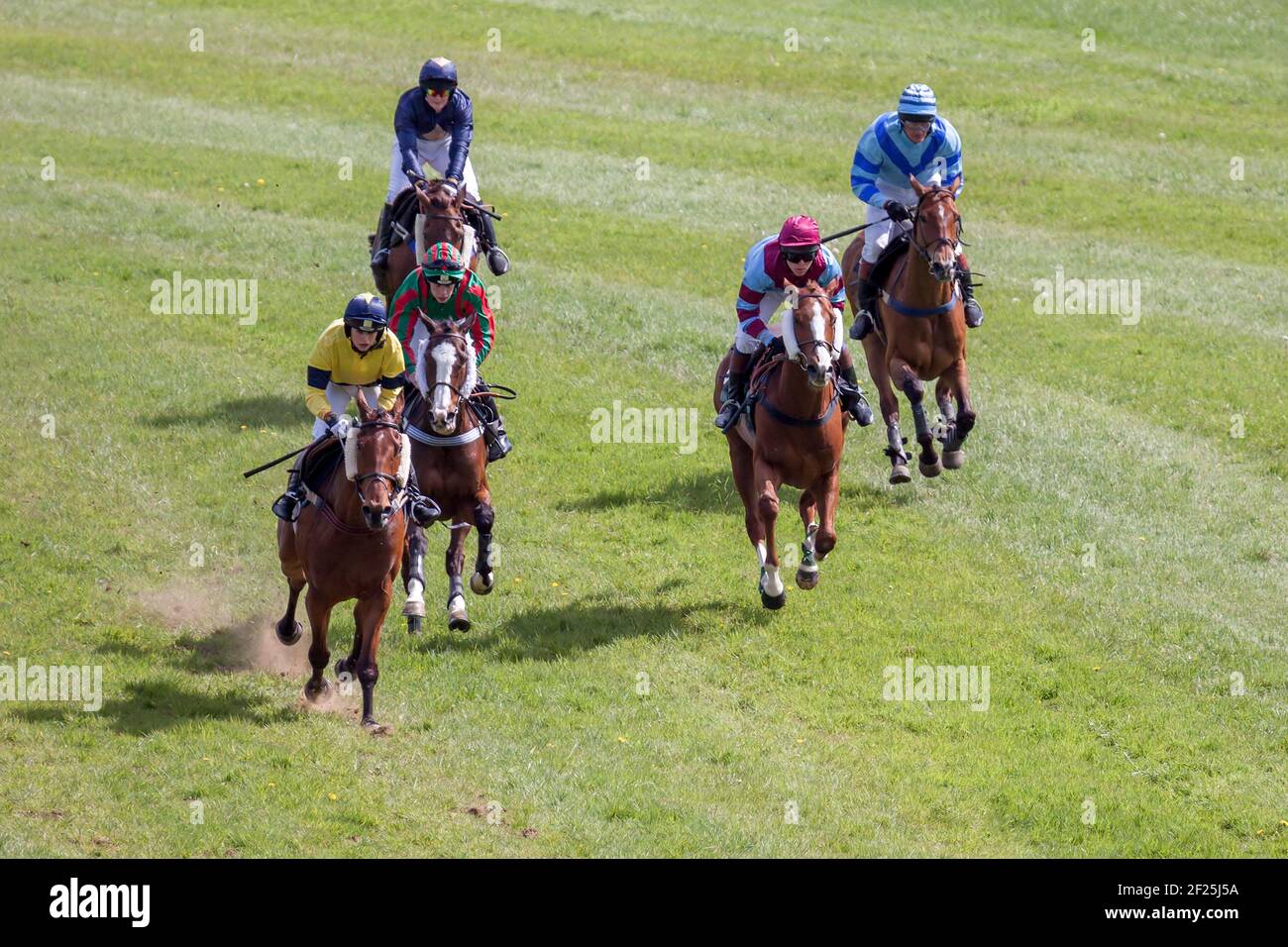 GODSTONE, SURREY/UK - 2 maggio : punto a punto racing a Godstone Surrey il 2 maggio 2009. Persone non identificate Foto Stock