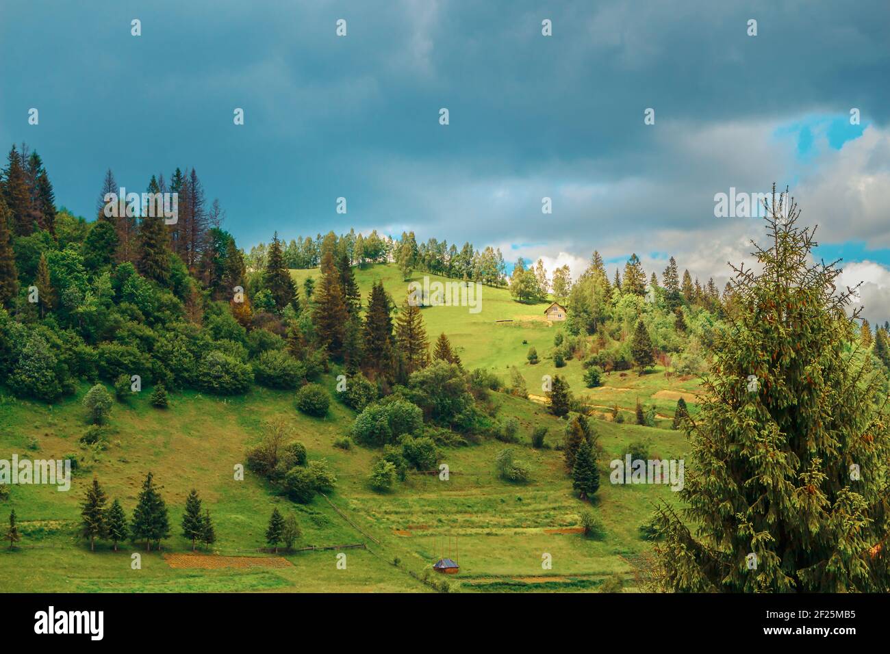 Piste forestali della regione dei Carpazi con un paio di case nel telaio Foto Stock