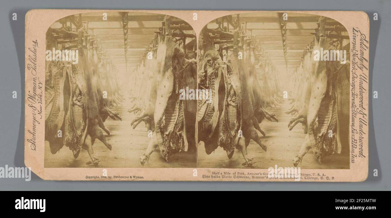 800 m circa di maiale, Armor's Great Packing House, Chicago, Stati Uniti. Foto Stock