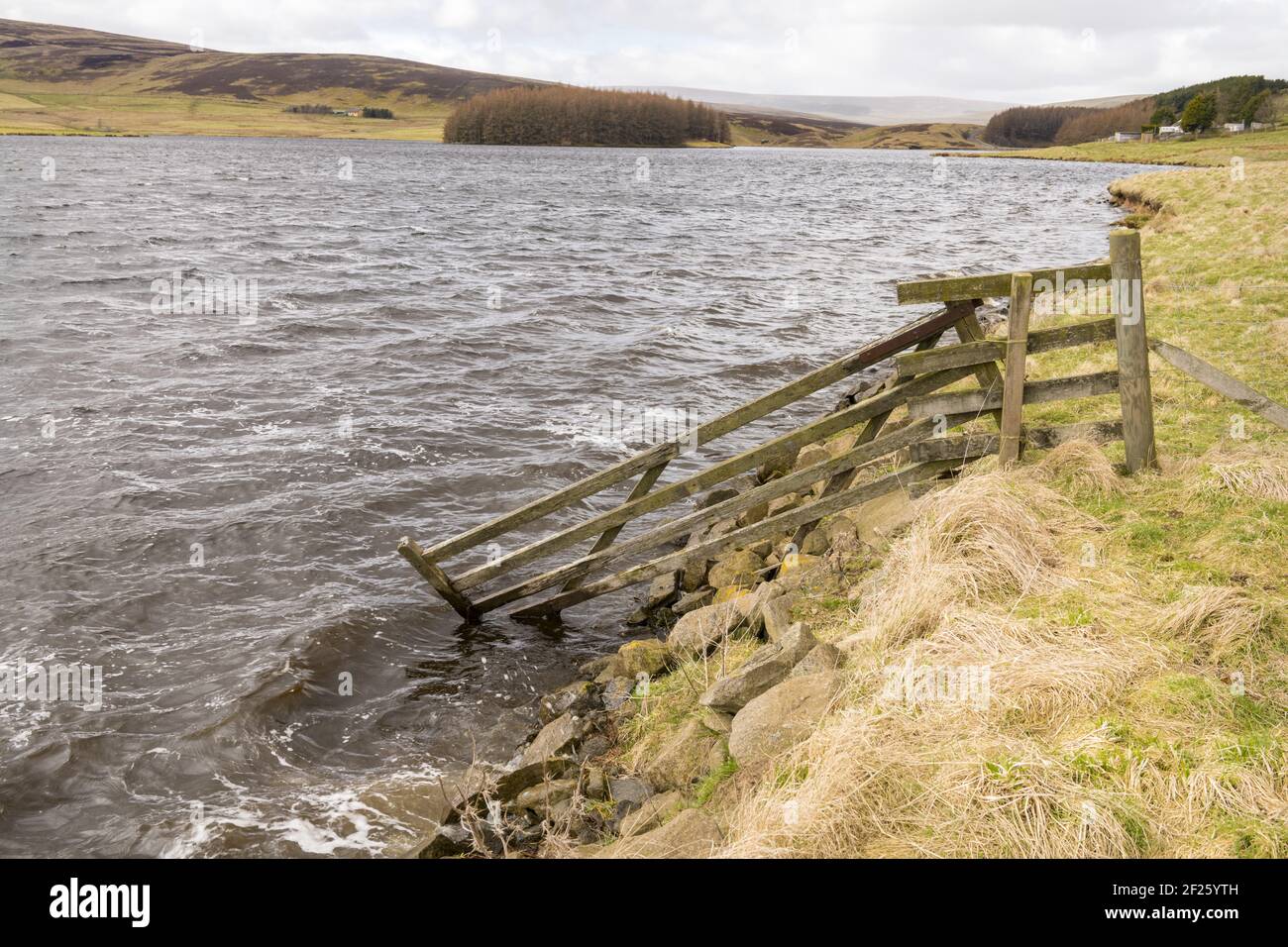 Whiteadder Reservoir, Garvald, East Lothian, Scozia Foto Stock
