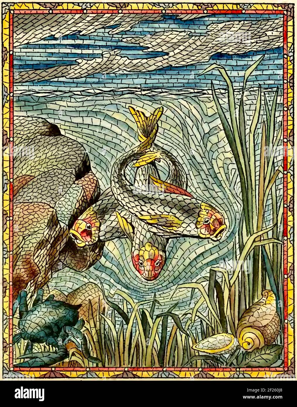 Design della finestra della sala da pranzo ben Day. Scena subacquea con tre pesci che prendono il palcoscenico centrale con il granchio e la lumaca che forniscono il getto di sostegno. Foto Stock