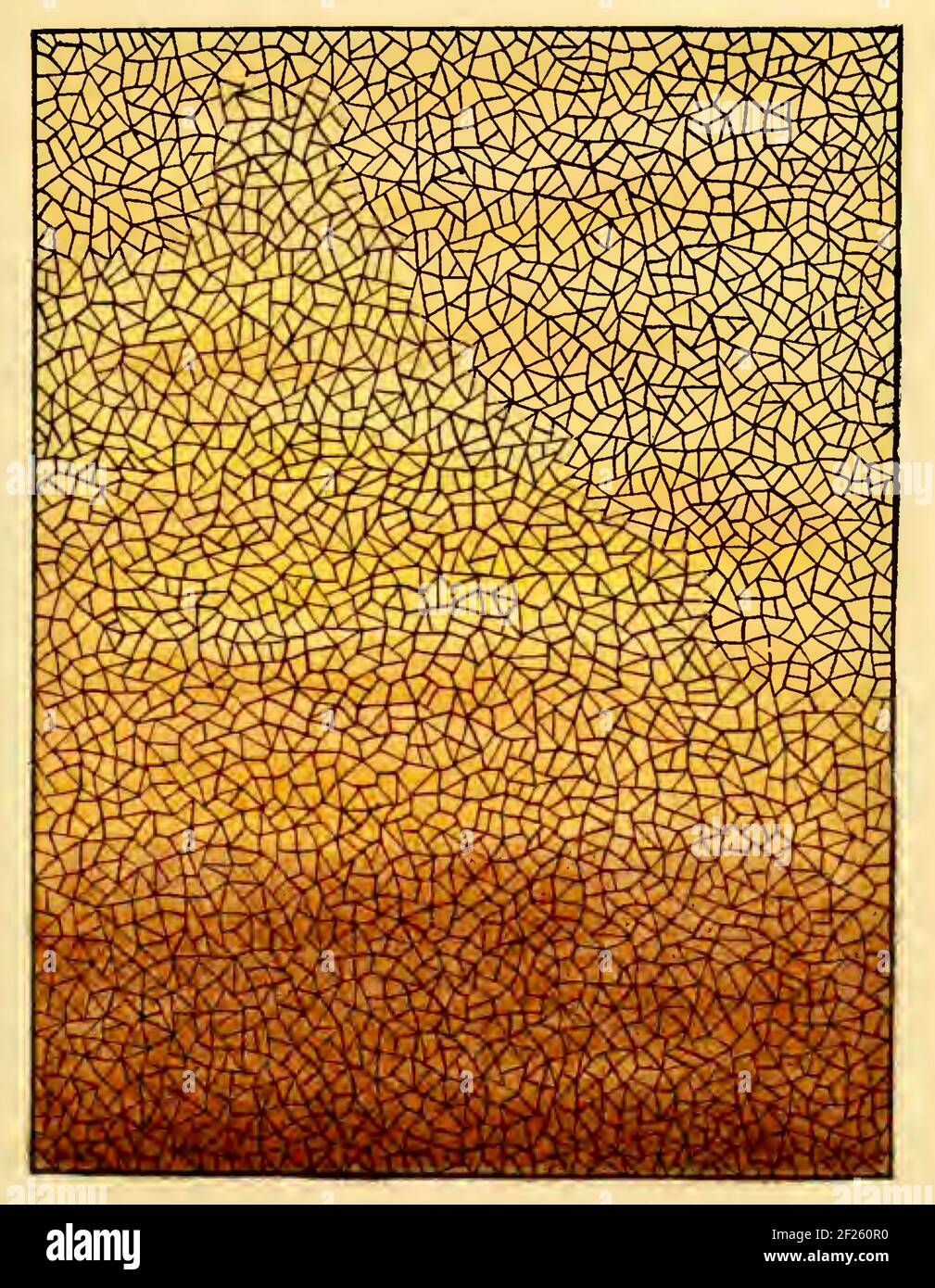 Design astratto dell'arte del vetro della Belcher Mosaic Glass Company che operò a New York alla fine del 1800. Design colorato e accattivante. Foto Stock