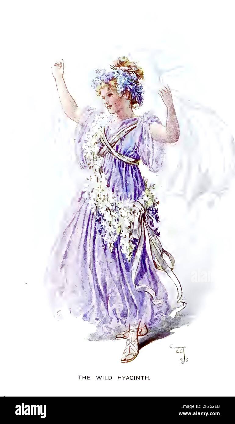 Charles William Pitcher conosciuto anche come Wilhelm flower Fairy folk Illustrazione - il giacinto selvaggio Foto Stock