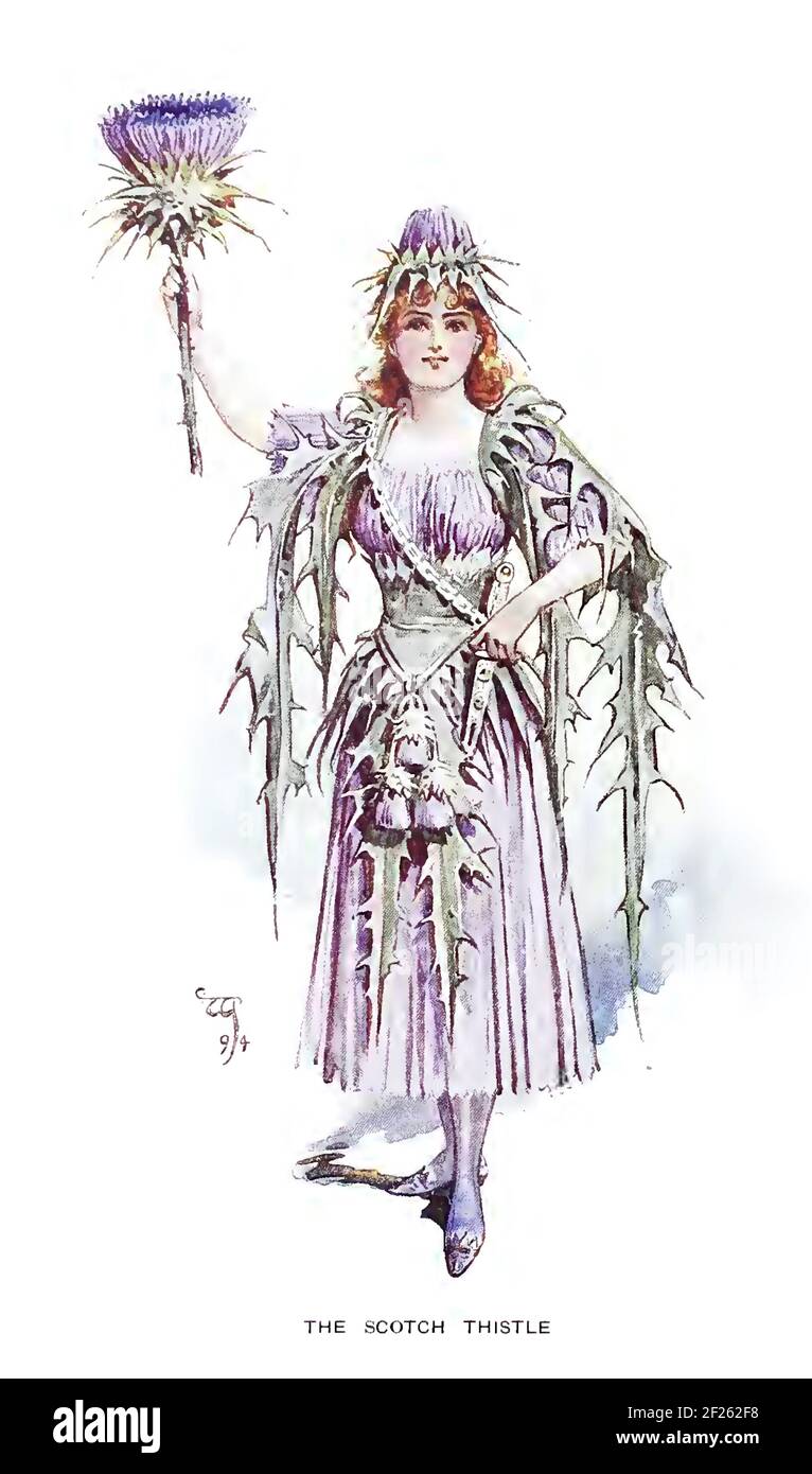 Charles William Pitcher conosciuto anche come Wilhelm flower Fairy folk Illustrazione - il Thistle Scotch Foto Stock