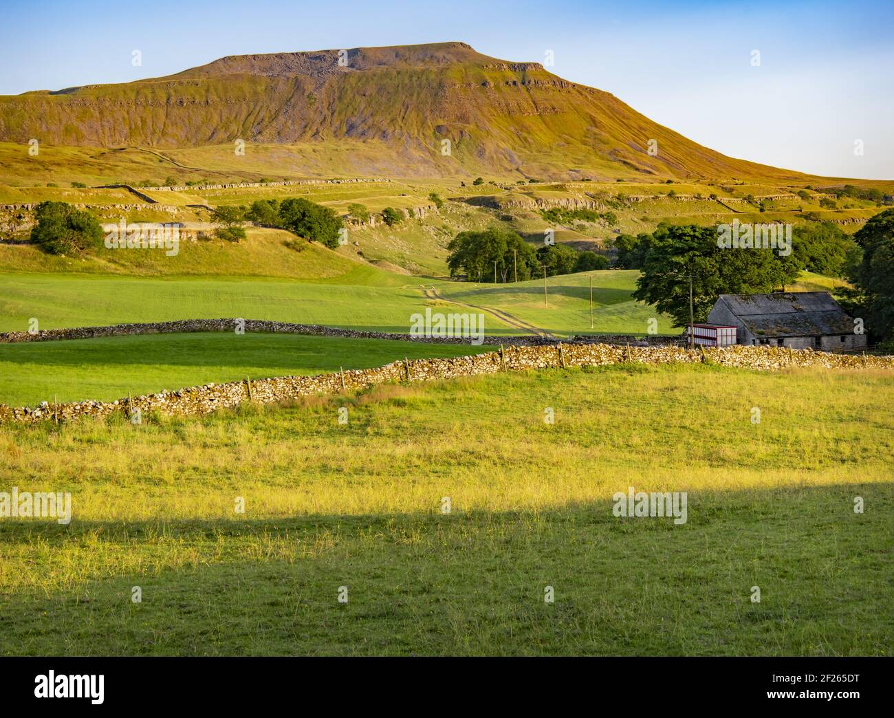 Ingleborough, Yorkshire Dales, Inghilterra Foto Stock