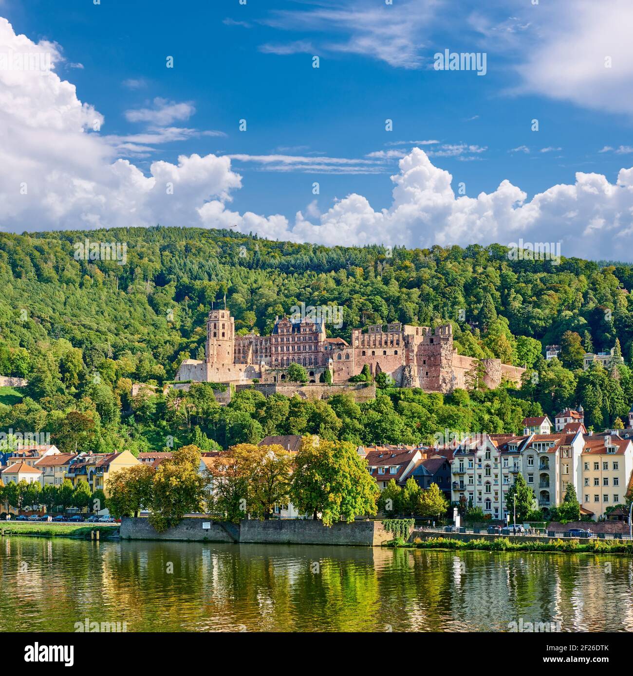 Città di Heidelberg sul fiume Neckar, Germania Foto Stock