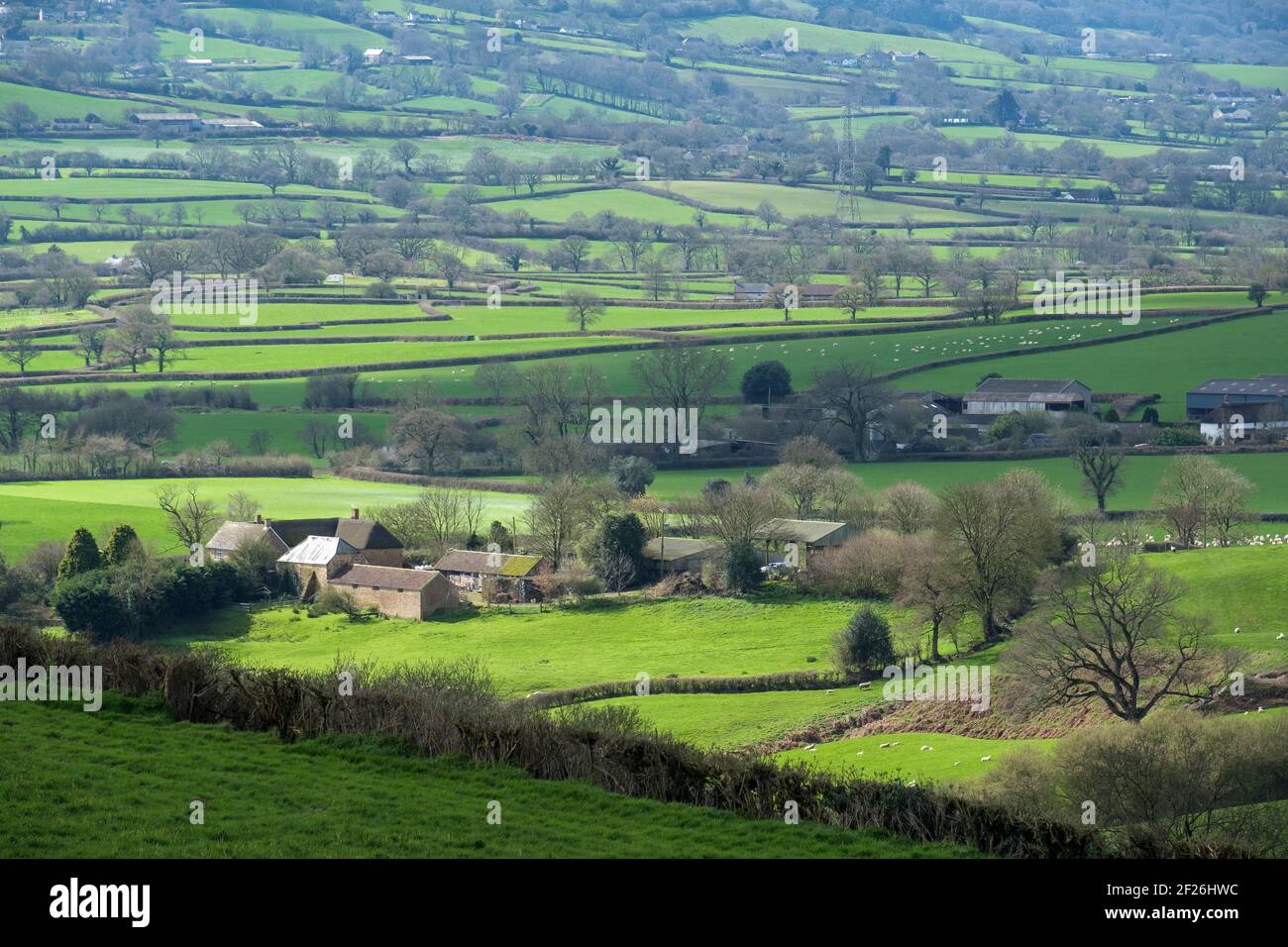 Vista panoramica del paesaggio ondulato di Somerset Foto Stock