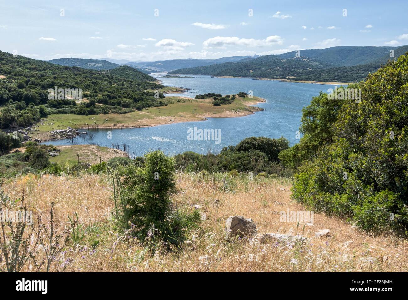 Il Lago di Liscia in Sardegna Foto Stock