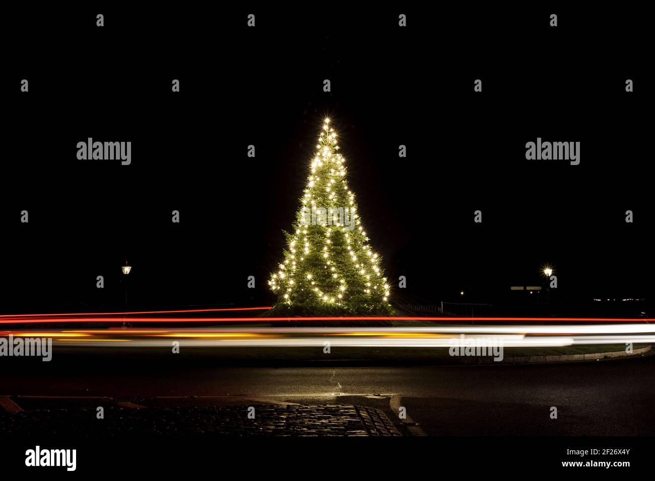 Albero di Natale nel Parco, decorato con luci e sentieri luce intorno, albero di Natale, allegro, auto luci sentieri, incandescente, rotonda, esposizione lunga Foto Stock
