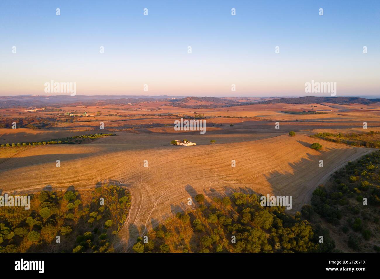 Alentejo marrone paesaggio con alberi drone panorama aereo all'alba, in Portogallo Foto Stock