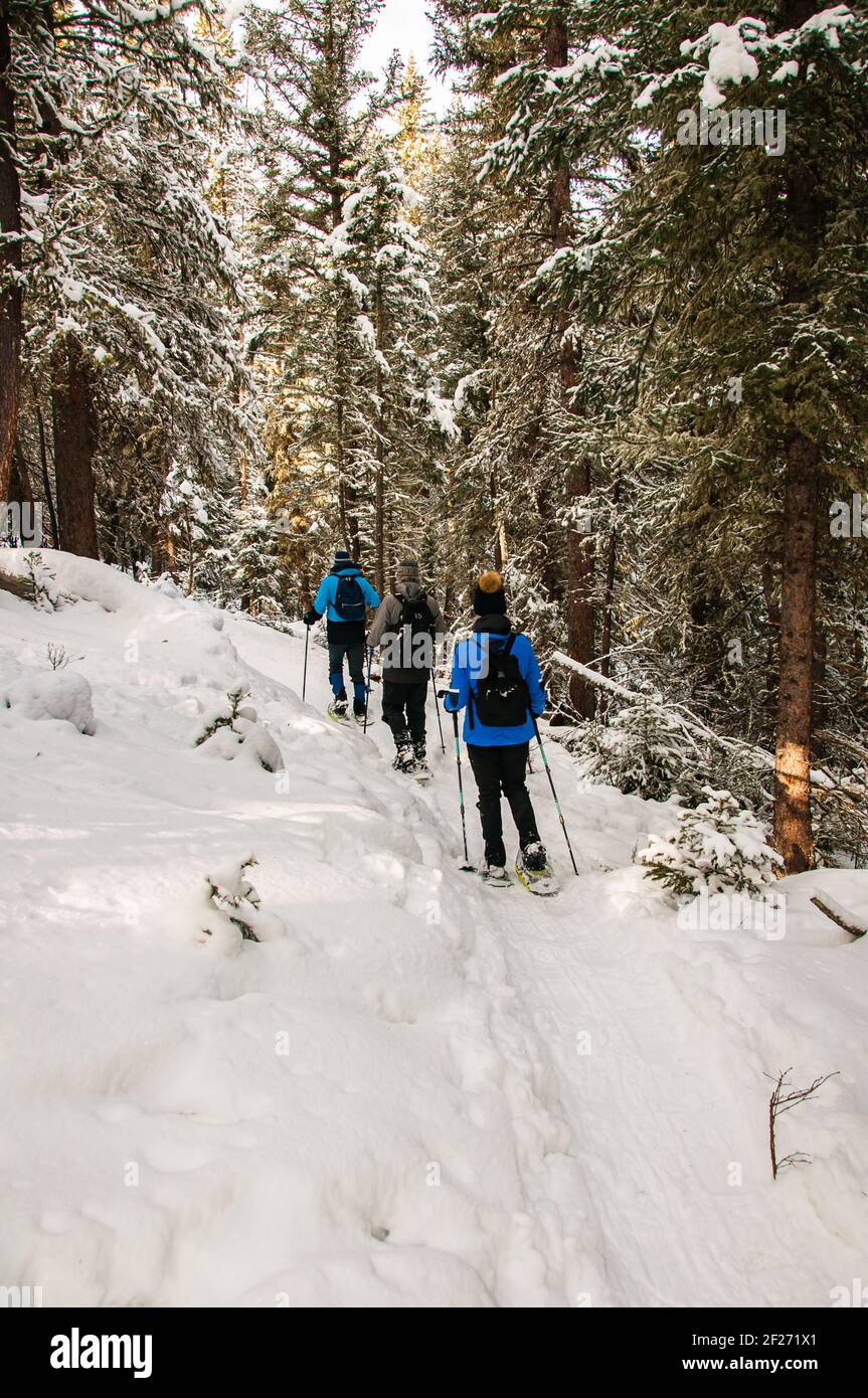 3 racchette da neve per anziani sane e attive nel Wyoming. Inverno neve landcape. Amici trekking con racchette da neve nella neve insieme. Vista posteriore. Foto Stock
