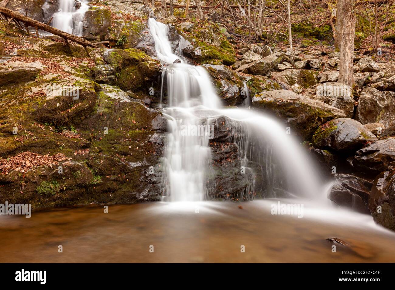 Immagine a lunga esposizione delle Dark Hallow Falls nel Parco Nazionale di Shenandoah in autunno. L'immagine presenta acqua a cascata che scende lungo la montagna coperta wi Foto Stock