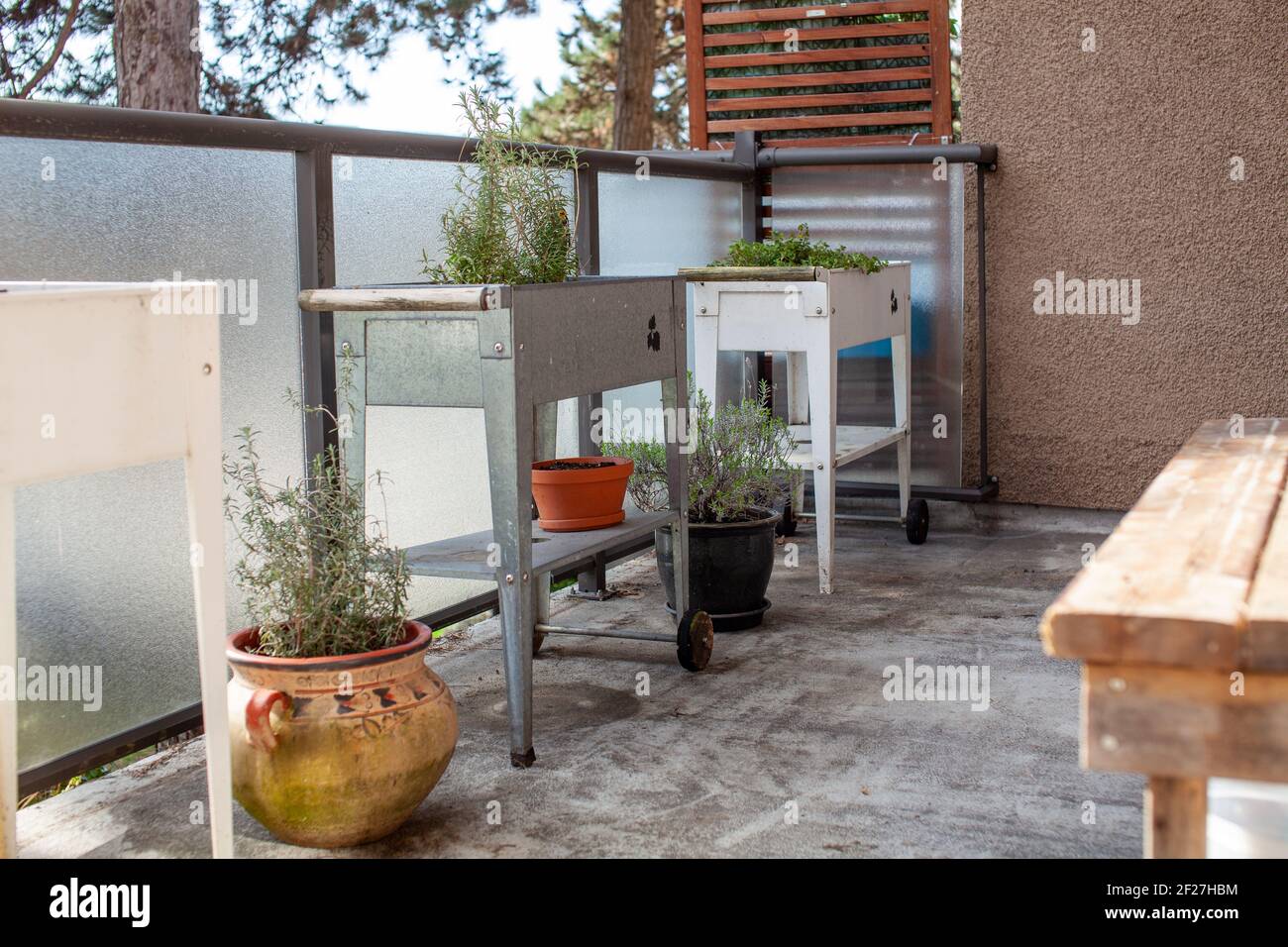 Una piantatrice da giardino sopraelevata in bianco e argento (galvanizzato) si trova su un patio dell'appartamento in primavera. Piantatrici in piedi sono un ottimo modo per giardino in una ur Foto Stock