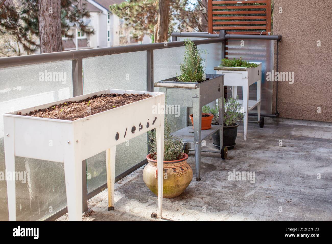 Una piantatrice da giardino sopraelevata in bianco e argento (galvanizzato) si trova su un patio dell'appartamento in primavera. Piantatrici in piedi sono un ottimo modo per giardino in una ur Foto Stock