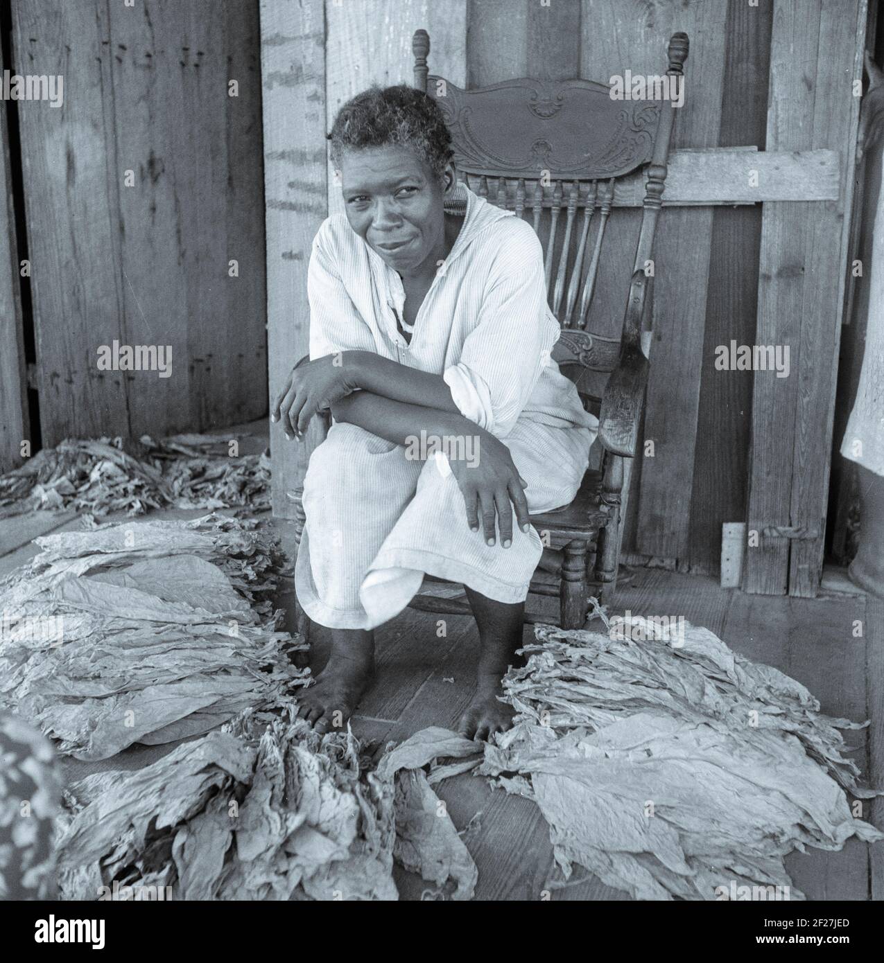 Vicino a Douglas, Georgia. Gli sharecroppers classano le foglie curate sui portici e le ordinano per andare all'asta del tabacco. Luglio 1938.Fotografia di Dorotea Lange Foto Stock