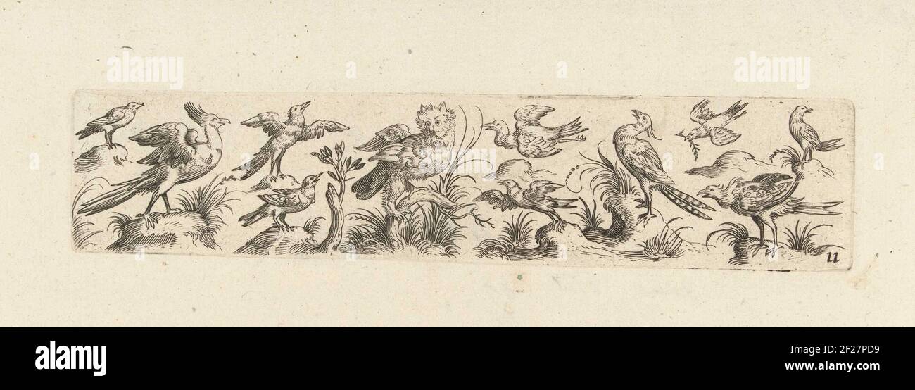 Fries incontrò Elf vogels, in het midden staat een uil; Viel und Mancherley Gefögel den Malern und Goltsmiden dienlich.a destra del gufo, due uccelli volano, il più a destra con un carro nel becco. Numero 11 dalla serie di 12 fogli numerati. Foto Stock