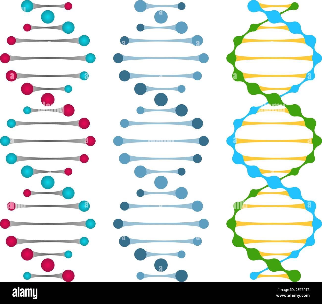 Tre varianti di molecole di DNA a doppio filamento che mostrano il nucleotide coppie in un'illustrazione vettoriale a doppia elica Illustrazione Vettoriale