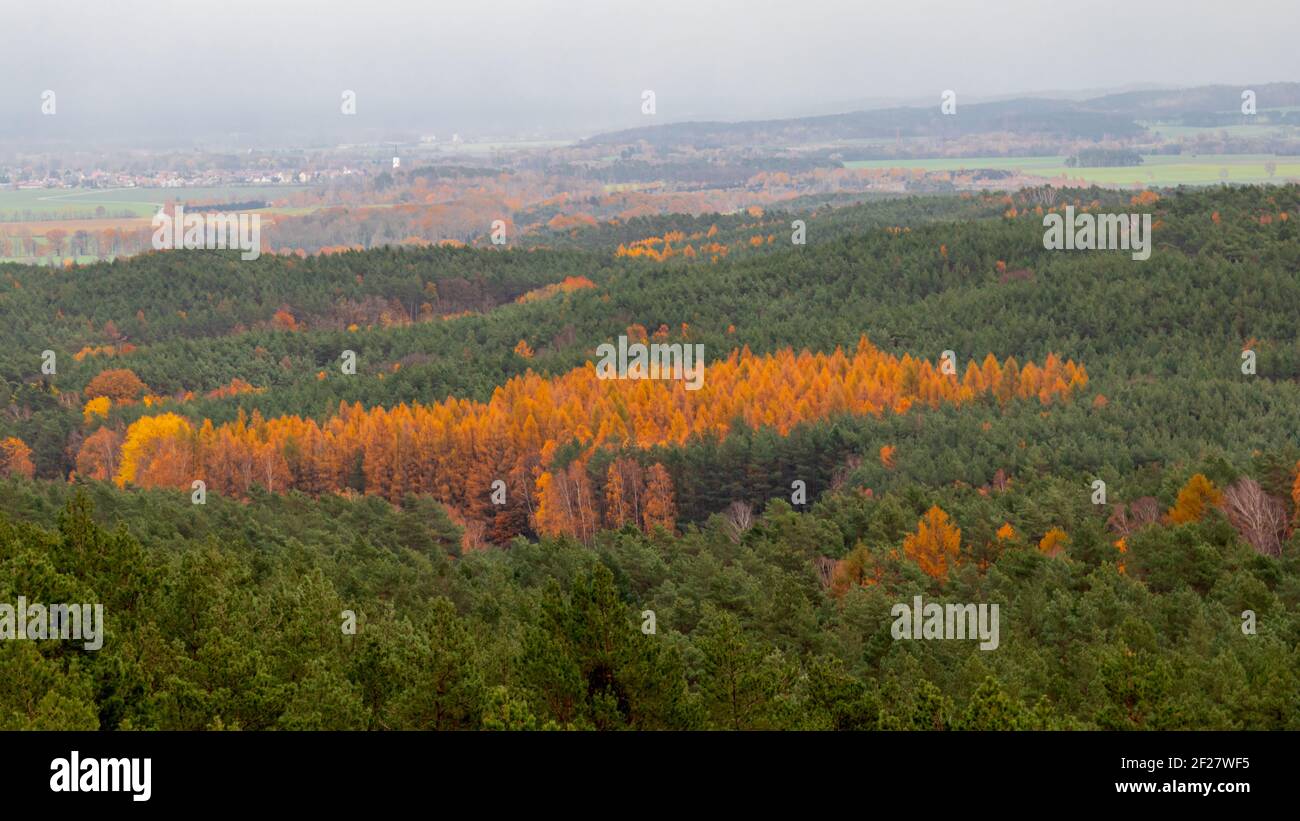 Indian Summer Foto Stock