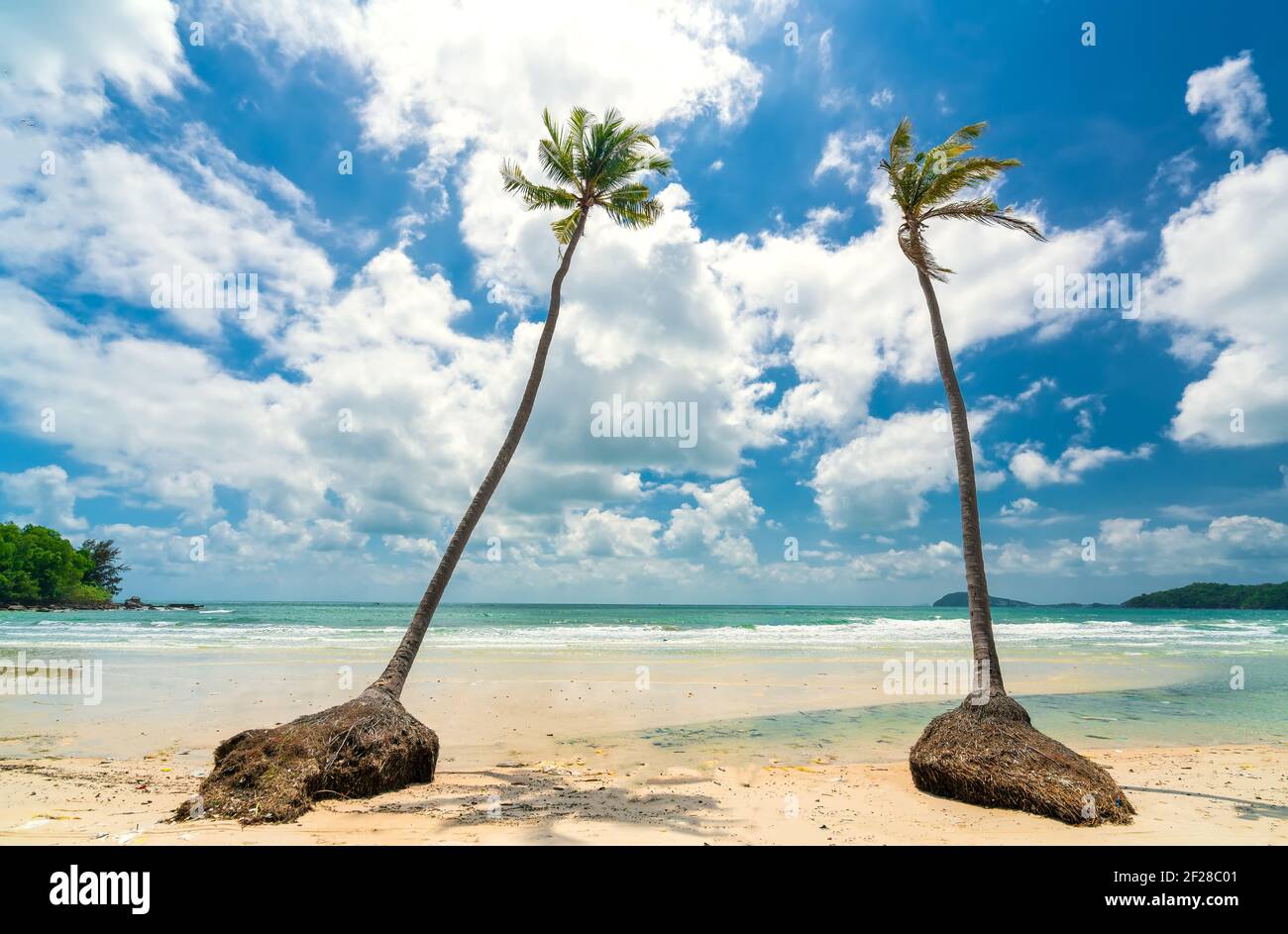 Mare con palme tropicali sulla bellissima spiaggia di sabbia di Sao nell'isola di Phu Quoc, Vietnam Foto Stock