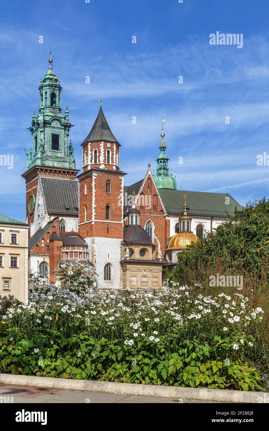 Cattedrale di Wawel, Cracovia in Polonia Foto Stock