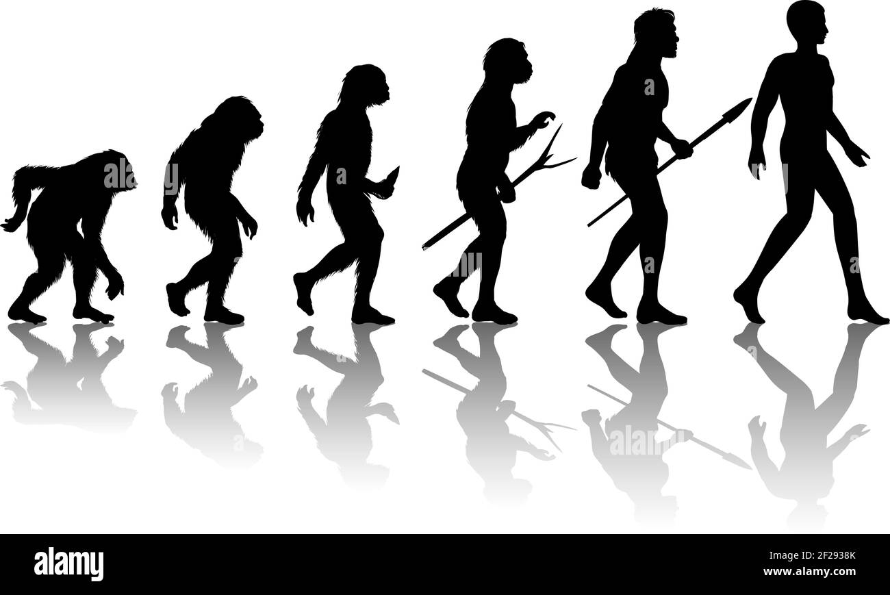 Evoluzione dell'uomo. Silhouette progredire sviluppo della crescita. Neanderthal e scimmia, homo-sapiens o hominid, primate o ape con lancia o bastone di arma o s. Illustrazione Vettoriale