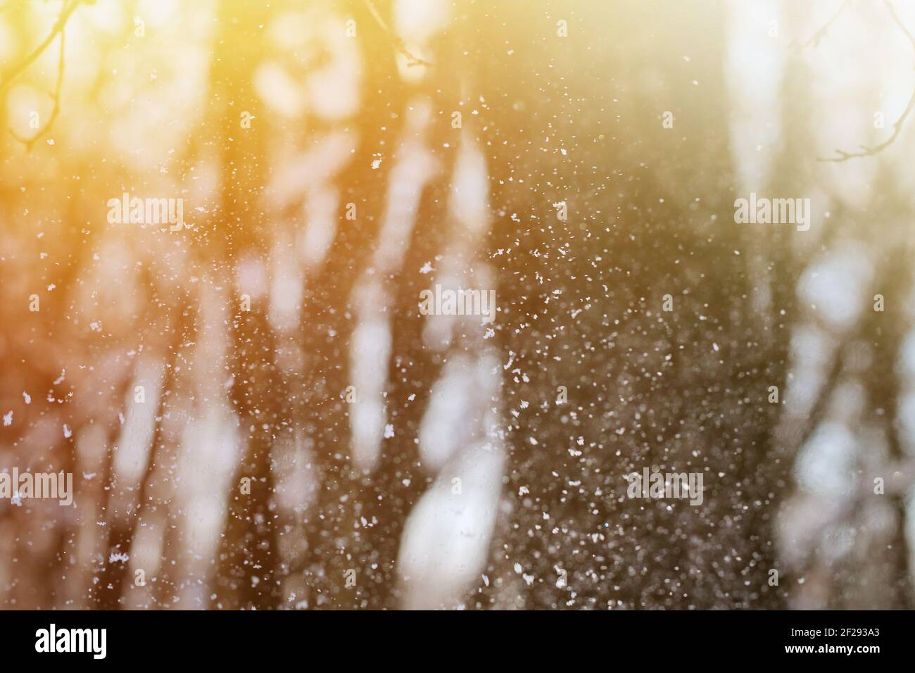 Nevicata neve invernale. Consistenza della neve. Texture per il design. Tessuto bianco nevoso. Fiocchi di neve. Foto Stock