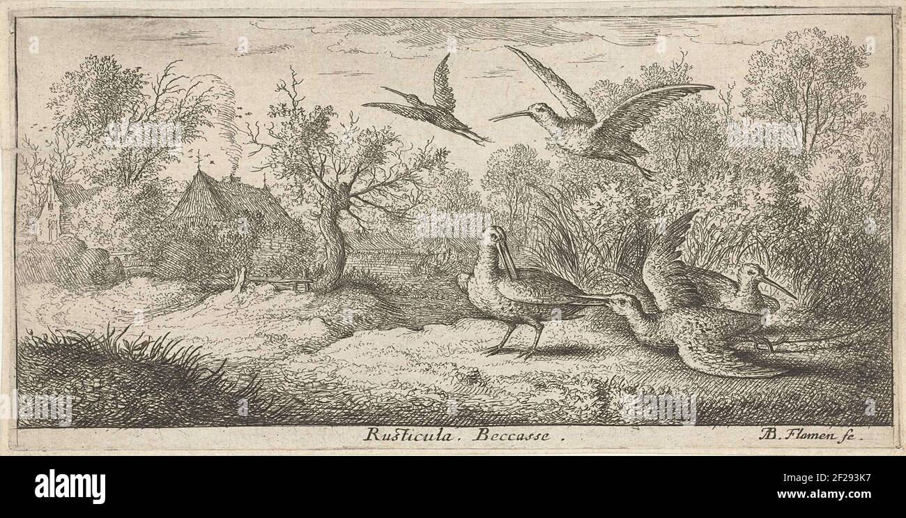 Paesaggio con intagli; Rusticula. Becasse.; libro degli uccelli; Livre d'Oyesavx .. Foto Stock