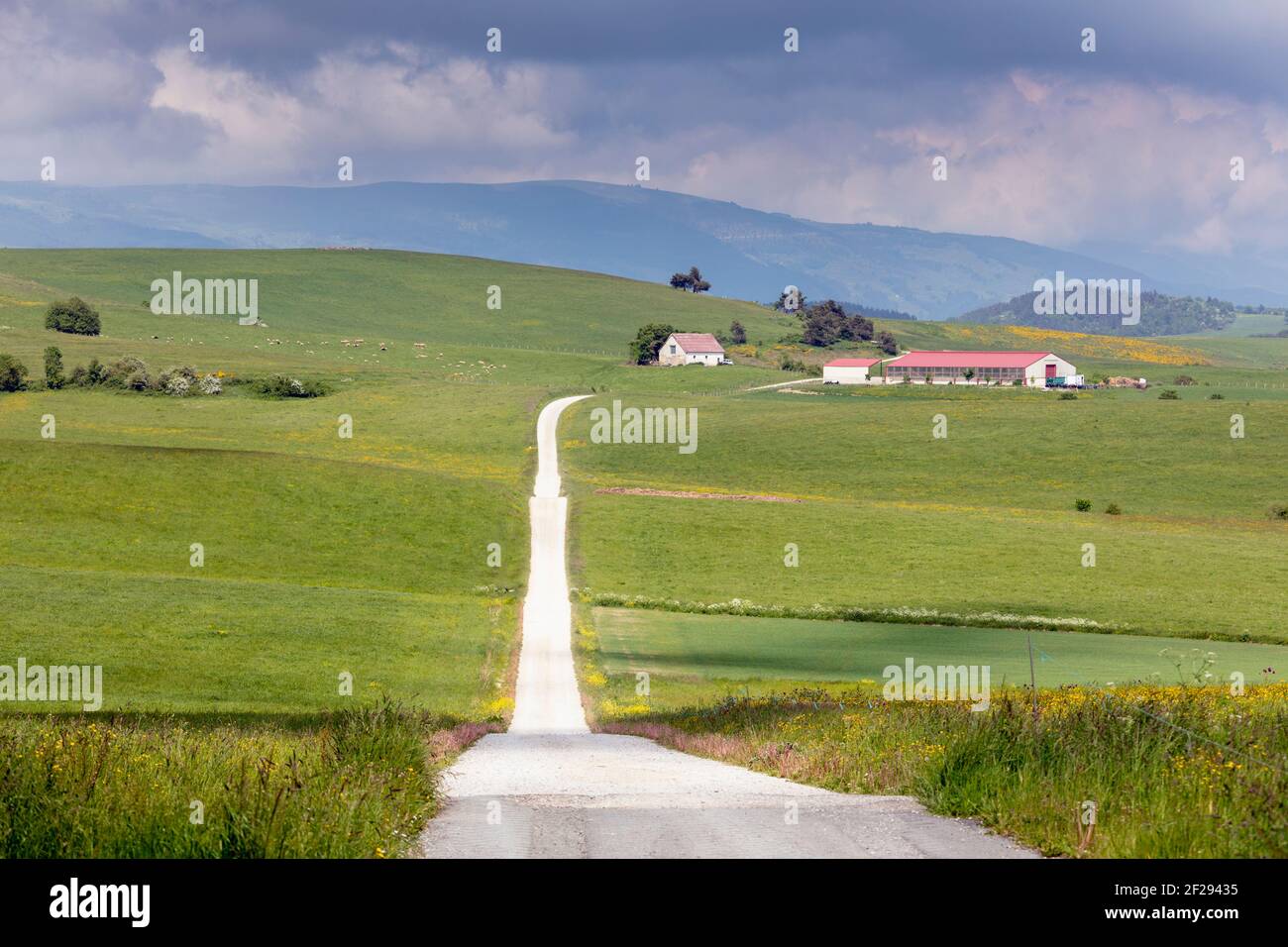 Scena rurale in frazione conosciuta come Abaurregaina in basco o ABAURREA alta in spagnolo, Navarra, Spagna Foto Stock