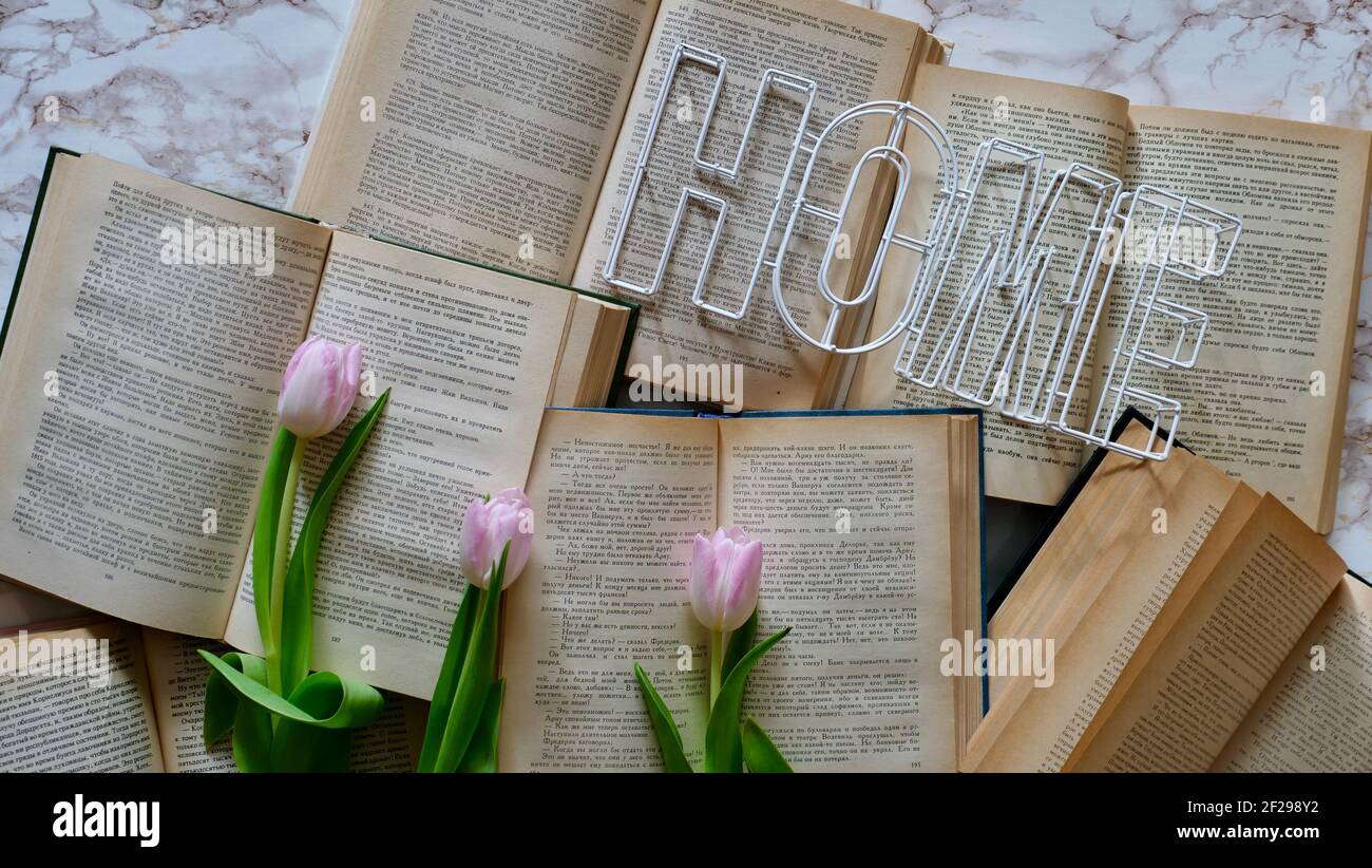 Primavera fiori tulipani rosa su uno sfondo libro a casa. Questa foto è adatta per librerie, Giornata internazionale della donna, scrittore, primavera, giorno della madre Foto Stock