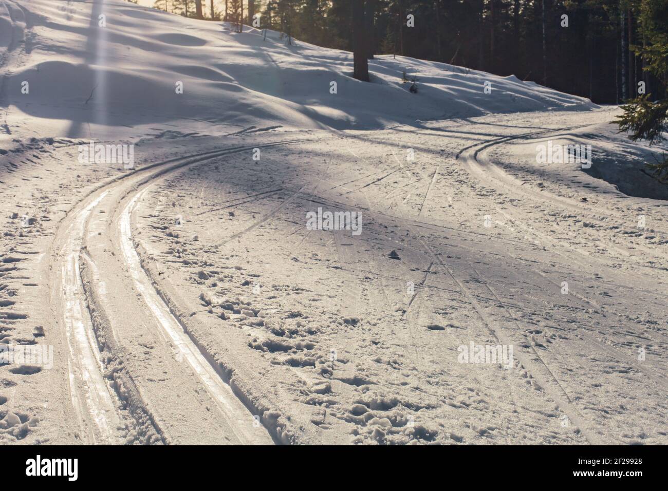 Piste da sci di fondo girando a lato nella foresta in giornata di sole. Nessuna gente Foto Stock