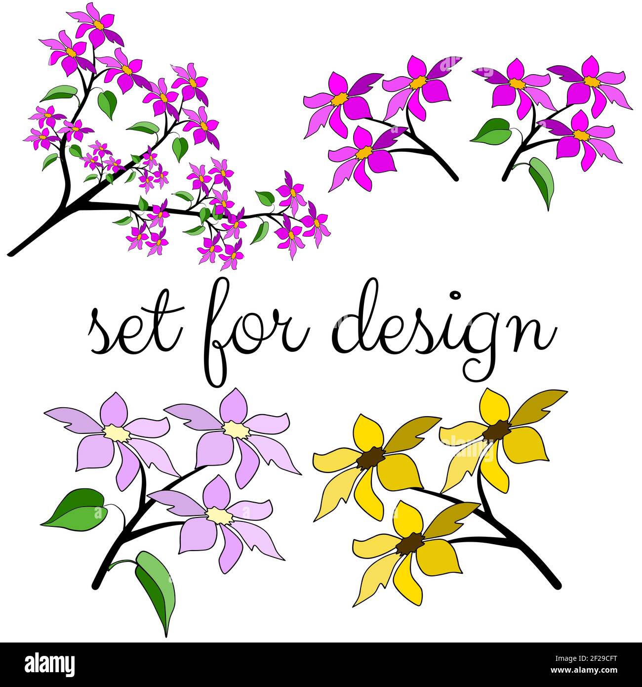 Set di rami sakura su sfondo bianco. Per il vostro disegno per generare il disegno romantico o vintage. Illustrazione vettoriale, EPS 10 Illustrazione Vettoriale