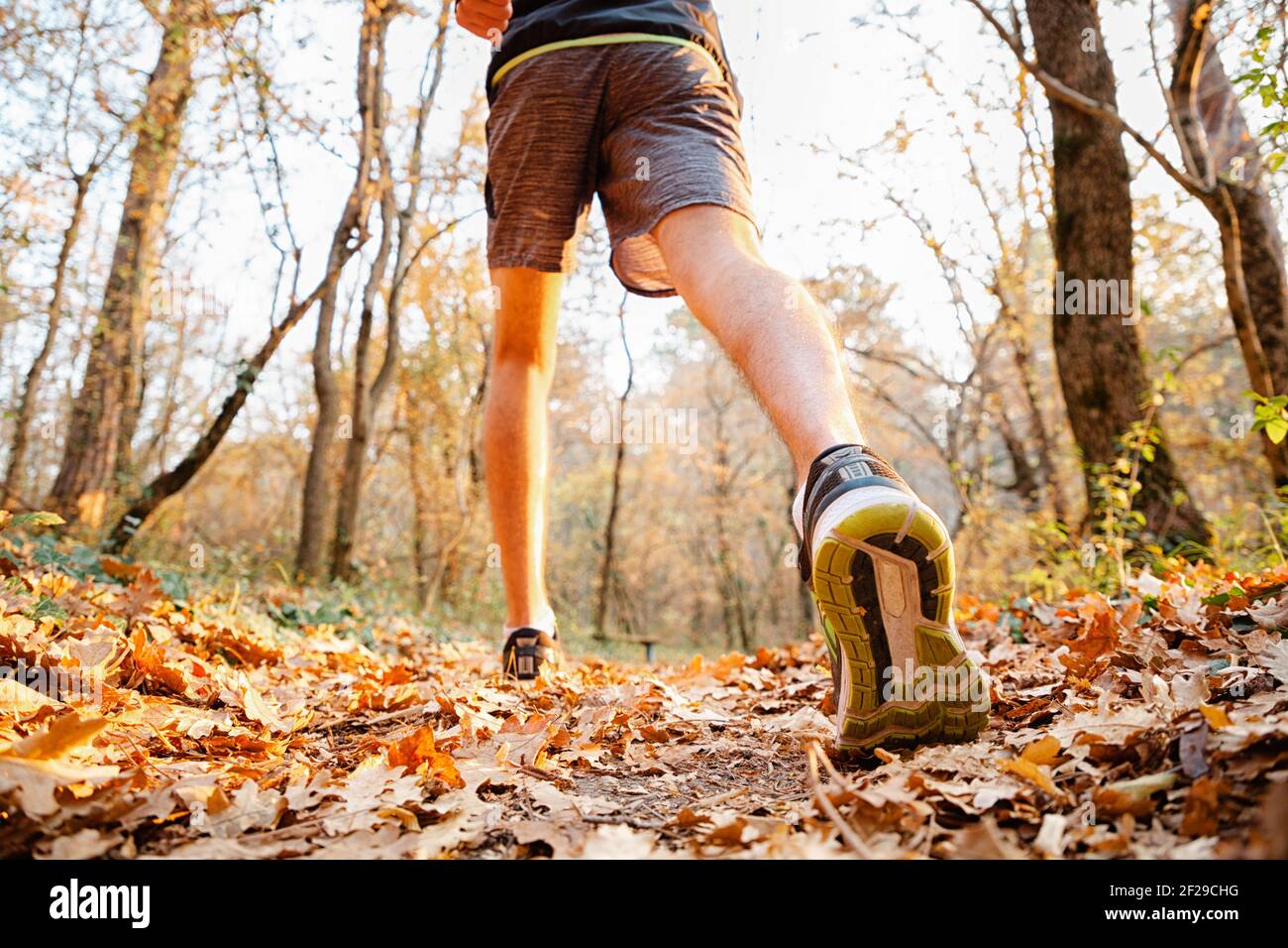 Il concetto di sport e stile di vita sano. Un uomo in abiti sportivi è fare  jogging nella foresta d'autunno o nel Parco. Vista dal basso, piedi in  primo piano sneakers. Co