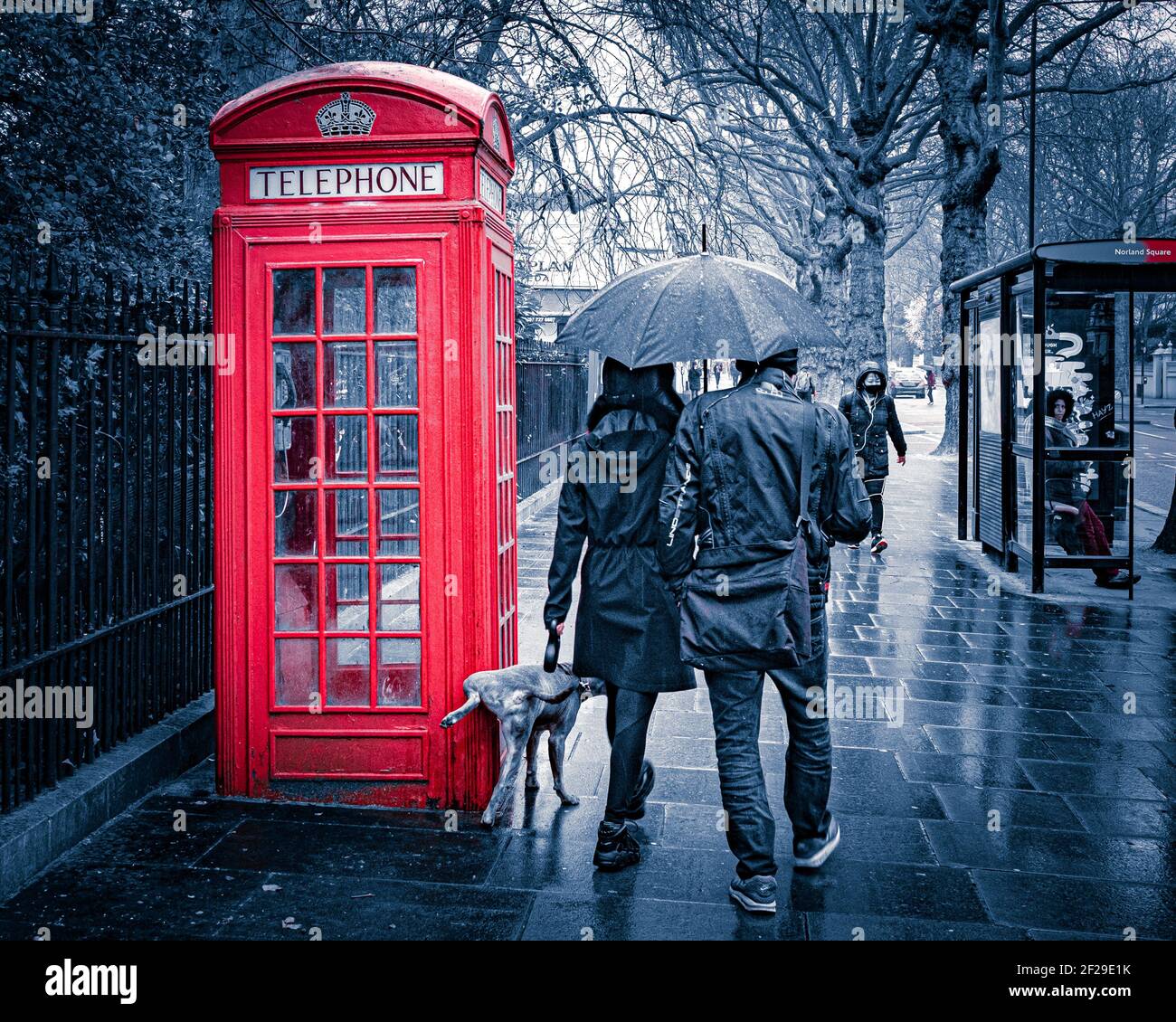 Londra- Marzo 2021: Holland Road a West London e una coppia che cammina un cane che sta cocking la gamba contro una cabina telefonica rossa. Foto Stock