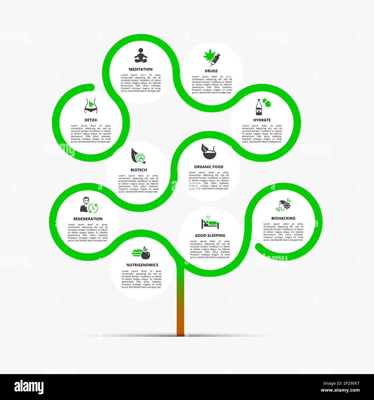 Modello di biohacking infografico. Icone in colori diversi. Includere Detox, meditazione, farmaci, idrato e altri. Illustrazione Vettoriale