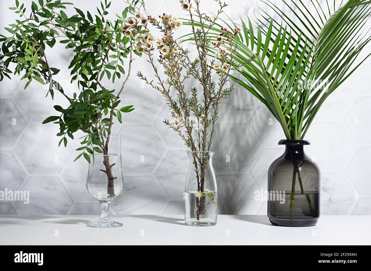 Bouquet freschi con foglie di palma, minuscoli fiori bianchi, ramo verde in vasi di vetro con ombra su pareti di piastrelle di marmo bianco, tavolo in legno alla luce del sole. Foto Stock