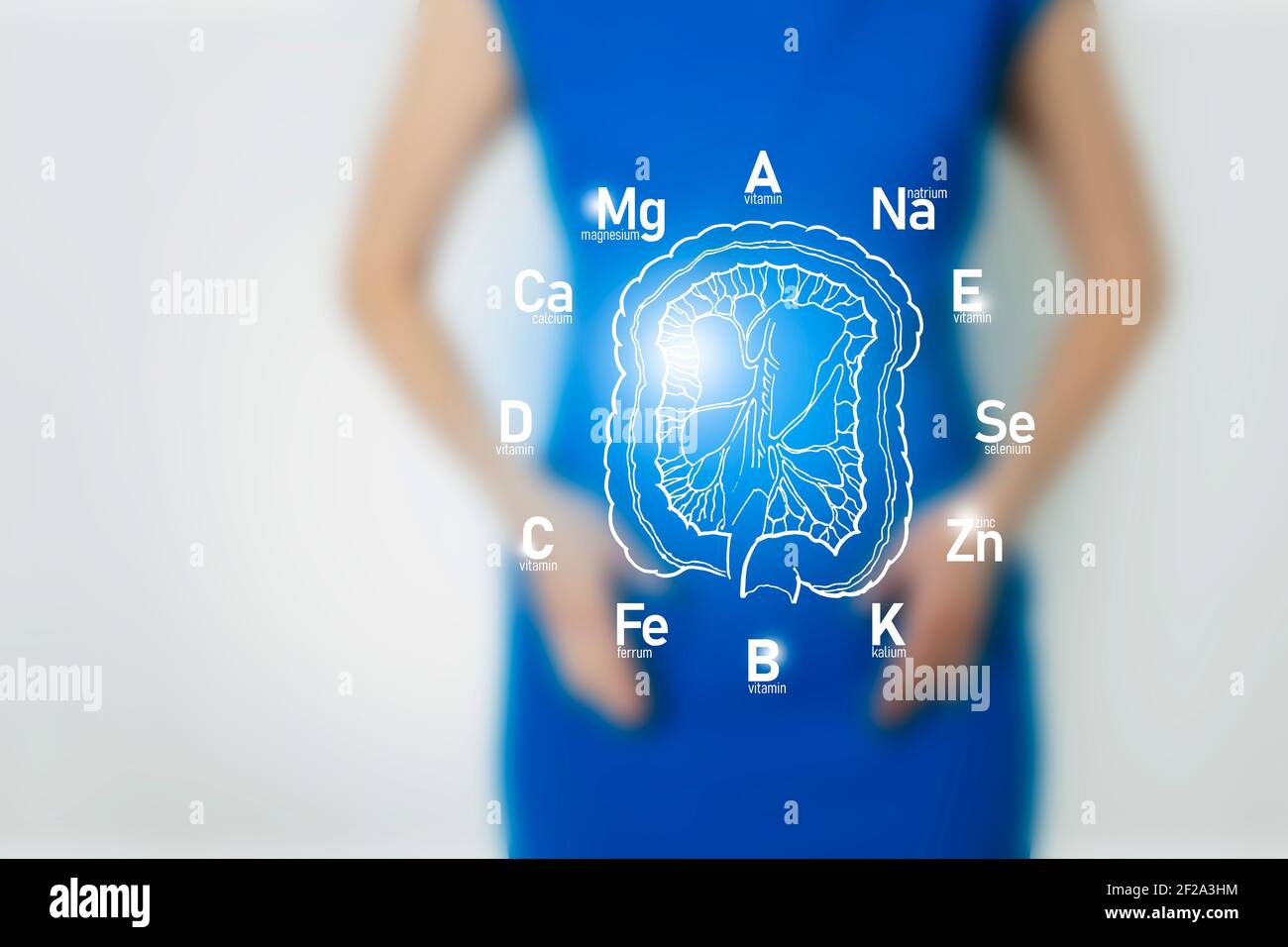 Visualizzazione grafica dell'intestino umano sano circondato da icone di vitamine e minerali. Figura femminile sfocata Foto Stock