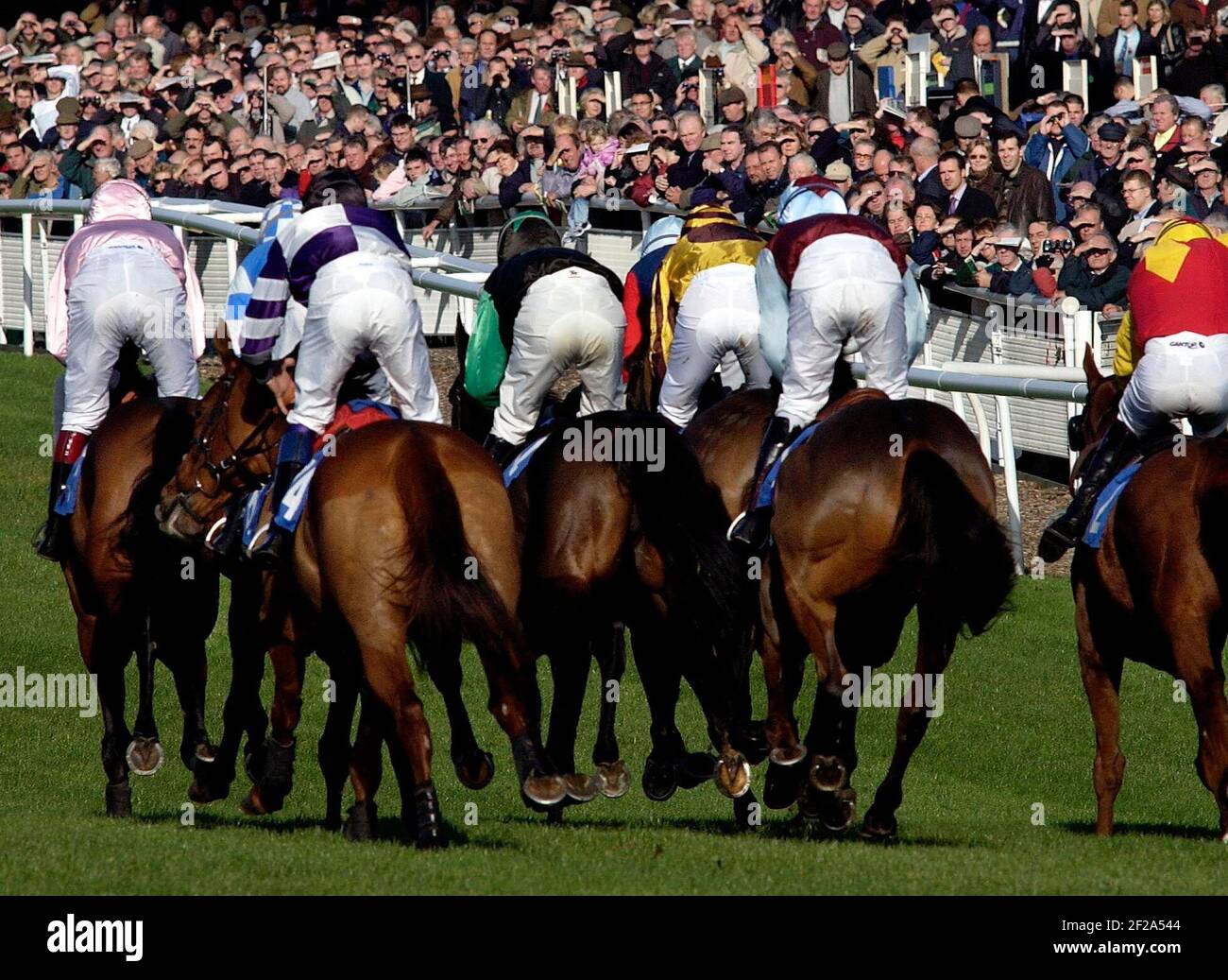 GARA AL FONTWELL PARK 1° TURNO DI TEMPO DEL BIRRAIO GIORNO CLAMING HURDEL 10/11/2002 FOTO DAVID ASHDOWNRACING Foto Stock