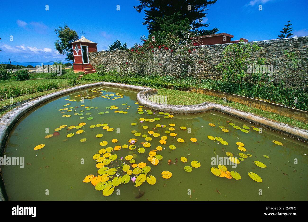 Il padiglione cinese, giardino della casa di Longwood, l'isola di Sant'Elena, Napoleone, l'esilio dell'imperatore fotografato nel 2012. L'anno 2021 segnerà il 200° anniversario della morte dell'imperatore francese Napoleone Bonaparte. Napoleone morì sull'isola di Sant'Elena nel 1821. Napoleone, che servì come generale militare ed imperatore di Francia, fu esiliato a Sant'Elena in seguito alla sua sconfitta nella Battaglia di Waterloo nel 1815. Foto di Erik Sampers/ABACAPRESS.COM Foto Stock