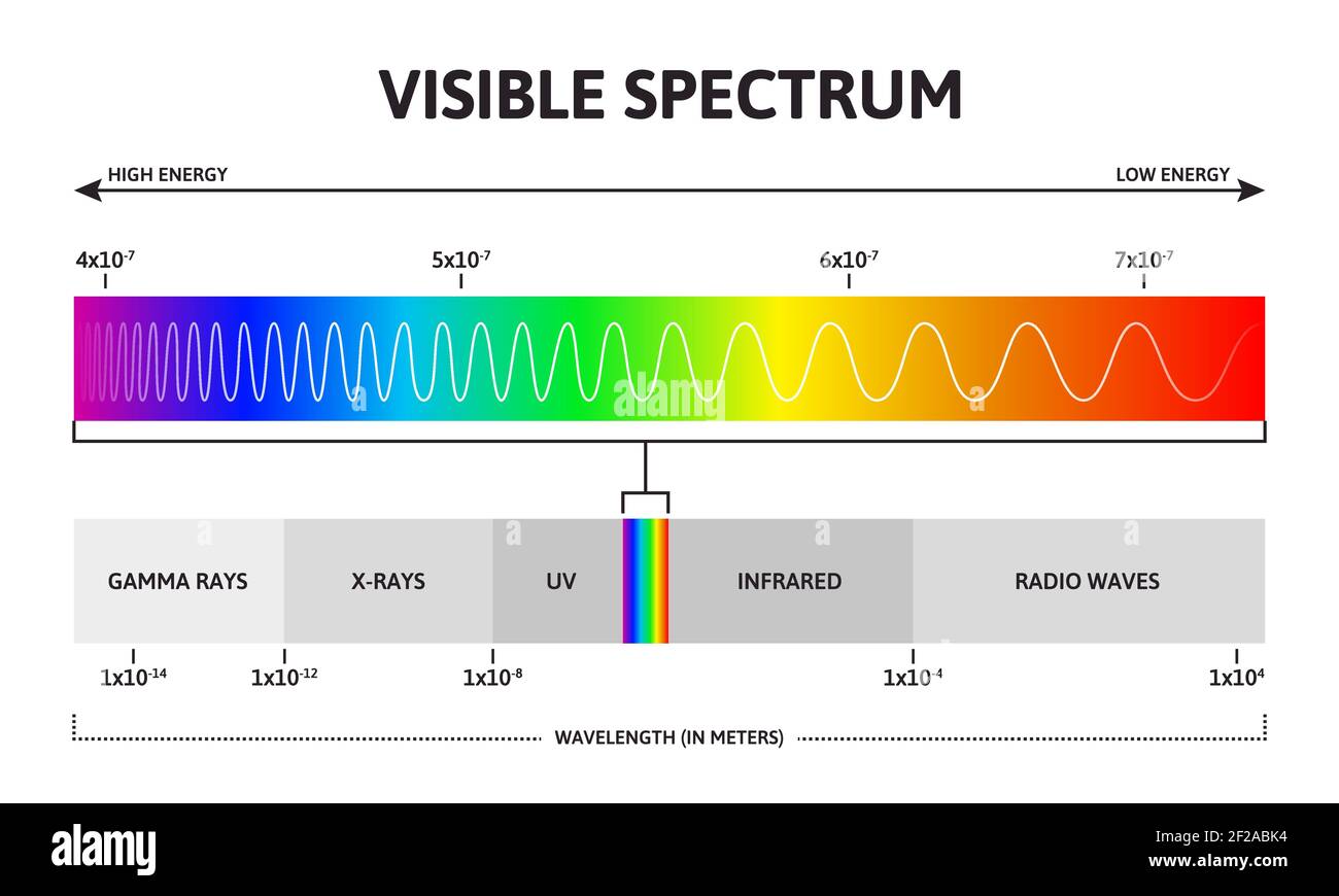 Spettro di colori visibile. Illustrazione infografica della lunghezza d'onda della luce solare e del vettore di frequenza crescente. Gamma di colori dello spettro visibile Illustrazione Vettoriale