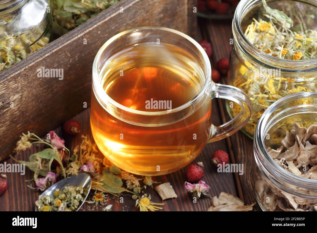 Tè alle erbe e vasetti con erbe aromatiche secche: Camomilla, tiglio, calendula, burdock, rosehips e fiori, closeup, copia spazio, naturopatia e natu Foto Stock