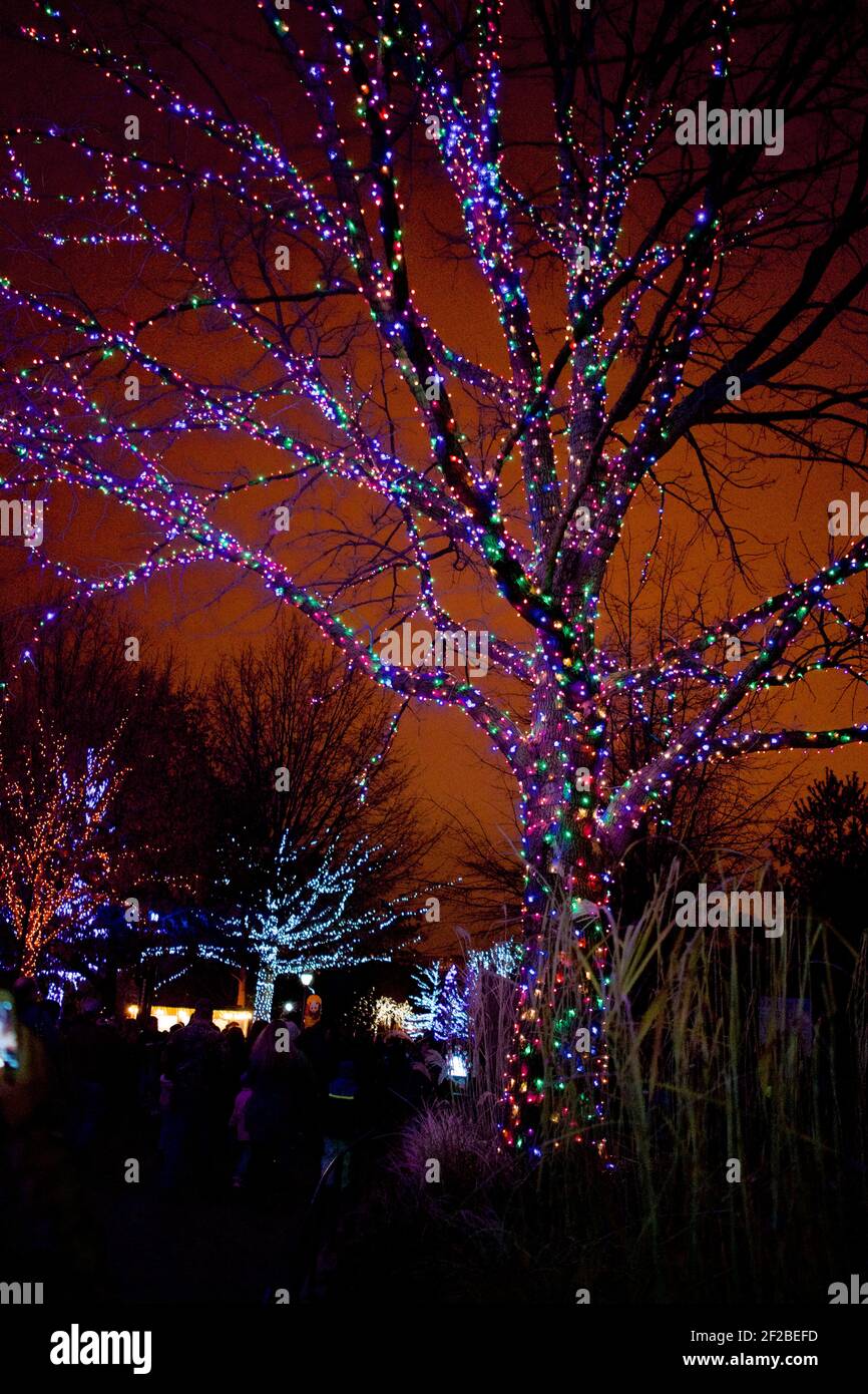 Zoo Lights notte presso lo Smithsonian National Zoological Park nel mese di dicembre di ogni anno per celebrare la stagione. Foto Stock