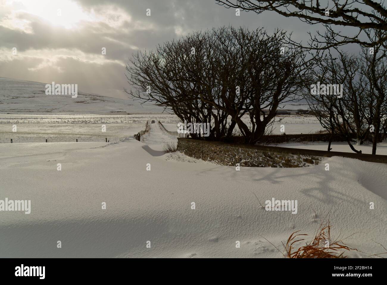 La neve deriva sul vialetto di entrata, Orkney Isles Foto Stock