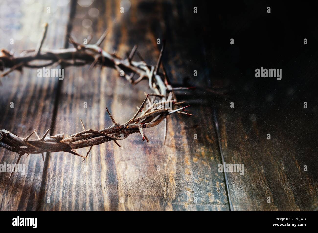 Corona cristiana di spine come Cristo indossava con gocce di sangue su uno sfondo rustico di legno o tavolo. Messa a fuoco selettiva con sfondo sfocato. Foto Stock