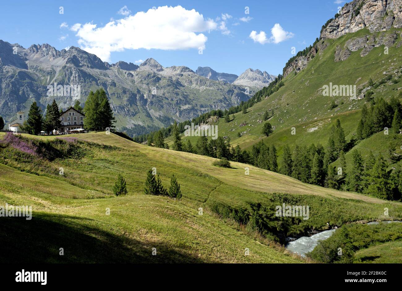 Fiume alpino della Valle Svizzera Engadina Fex. Foto Stock