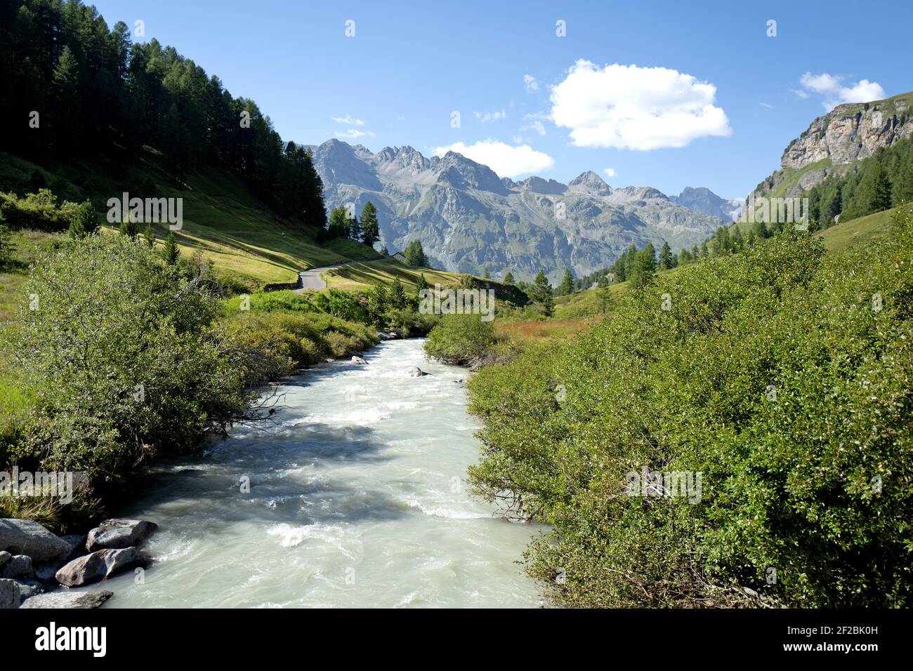 Fiume alpino della Valle Svizzera Engadina Fex. Foto Stock