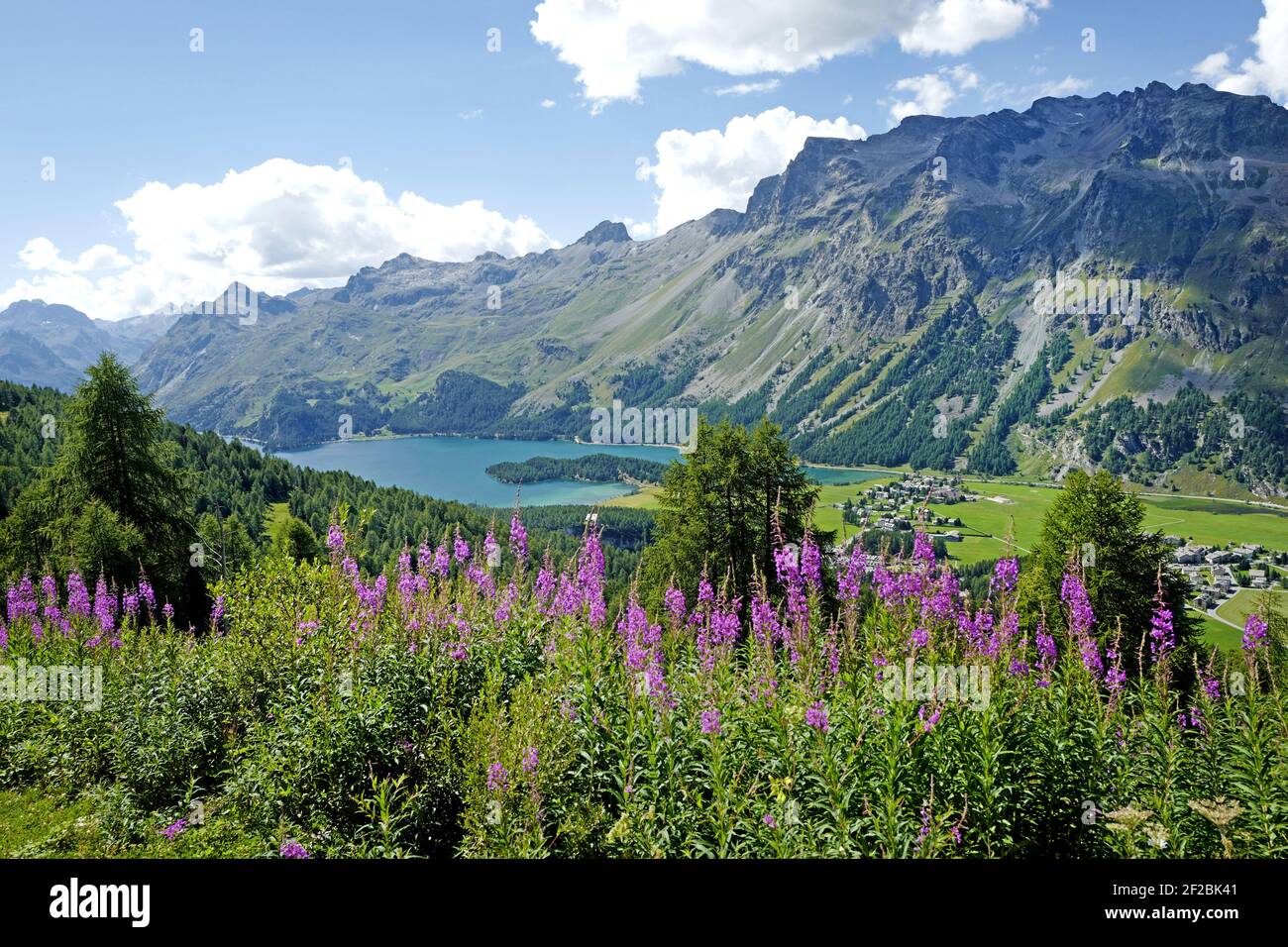 La vista panoramica sulle Alpi svizzere sulla valle dell'Engadin e sul lago blu. Sils Maria, Maloja, Svizzera. Foto Stock