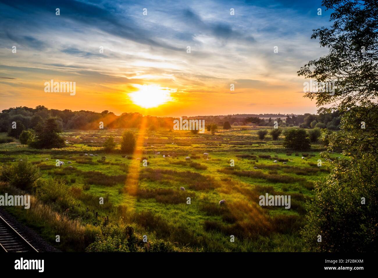 Il sole tramonta sul pascolo delle pecore in un campo vicino a Kintbury, Berkshire, Regno Unito, lasciando un bel bagliore arancione nel cielo. Foto Stock