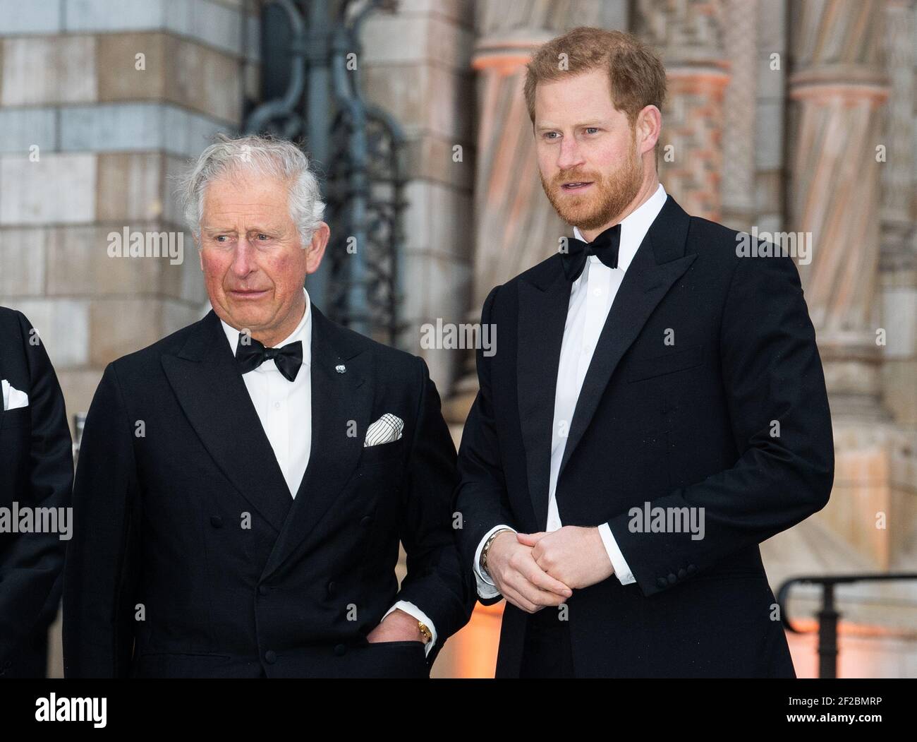 Londra, Regno Unito. 4 aprile 2019. Il principe Carlo, il principe Harry, partecipa alla prima mondiale della serie televisiva Netflix "il nostro pianeta" che si tiene al Museo di Storia Naturale. Credit: Scott Garfitt /Alamy Live News Foto Stock